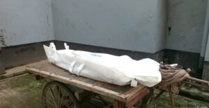 প্রাণ গেলো ভ্যানচালকের তেঁতুল পাড়তে গাছে উঠে 