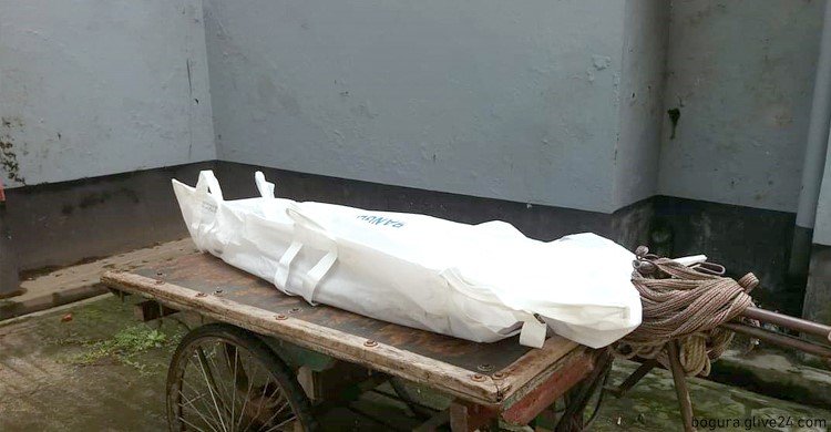 প্রাণ গেলো ভ্যানচালকের তেঁতুল পাড়তে গাছে উঠে