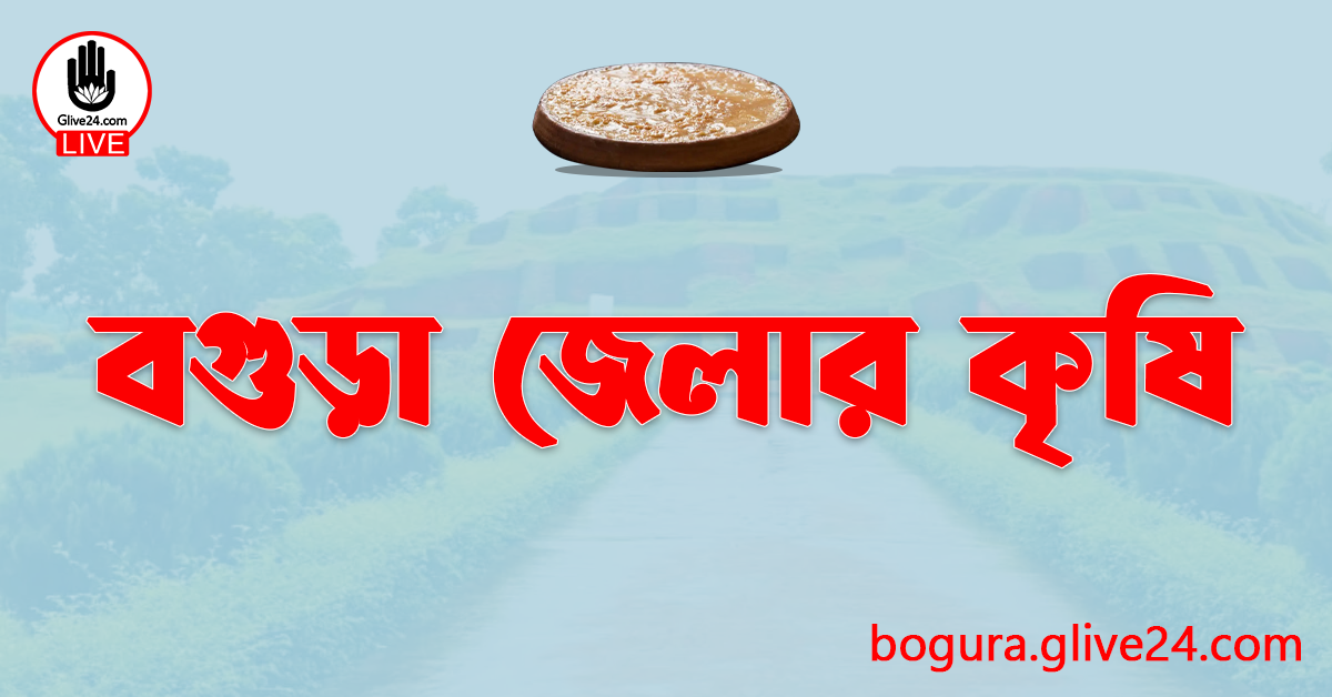বগুড়া জেলার কৃষি