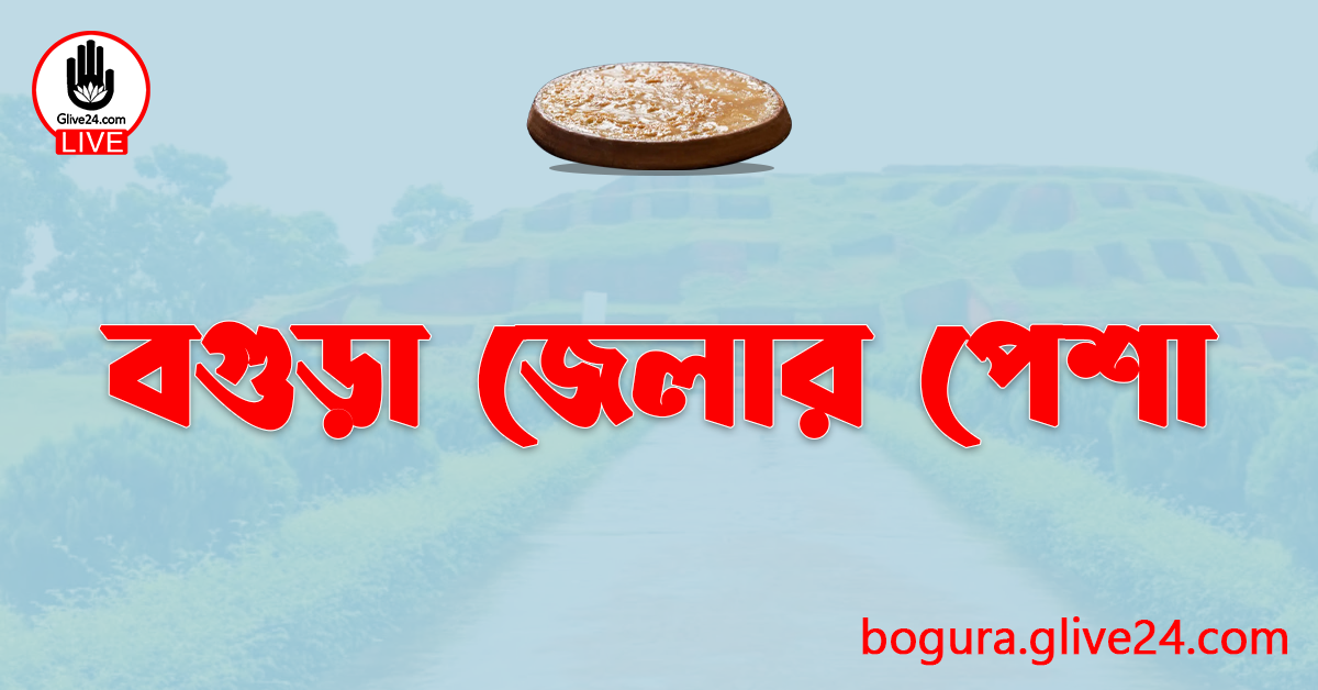 বগুড়া জেলার পেশা